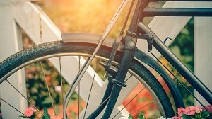 Bicycle Wheel Close-Up