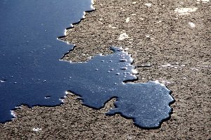 Automotive Fluid Leak on Pavement Automotive Fluid Leak on Pavement